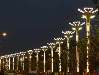 成都玉兰灯厂,重庆歌乐山路灯厂,庭院路灯杆,山东青岛路灯杆生产厂家,哈尔滨路灯杆厂家,高杆路灯多少钱,南宁北湖路路灯杆厂,开路灯杆厂怎么样,路灯杆生产厂家电话