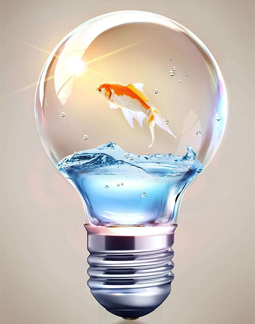 中国照明 化劣势为优势 巧用促销聚集人气