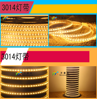 万星红LED灯带厂家【热销产品:3014灯带防水220V 高亮贴片灯条】供应商:深圳市宝安区达曼尔照明灯饰厂