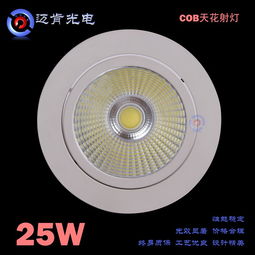 cob射灯 供应商业照明下照式led灯具 工程款25wled