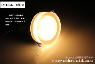 禄耀3 1W大功率LED天花灯 亚克力筒灯引领室内照明新风尚